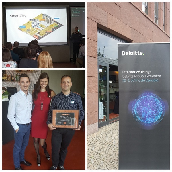 Deloitte_IoT_mini